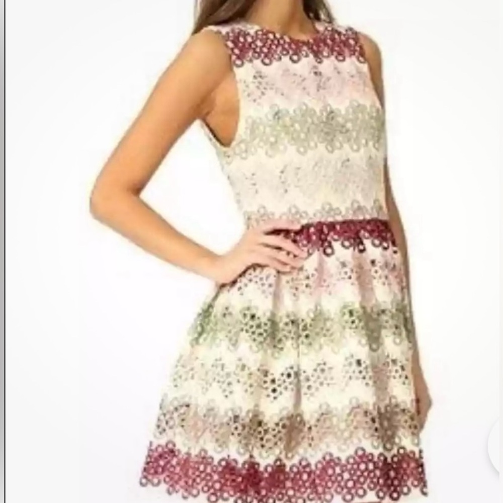 Alice + Olivia Joyce lace dress